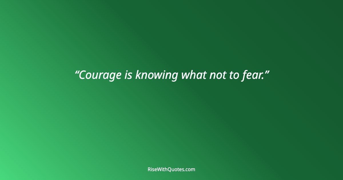 Courage is knowing what not to fear.