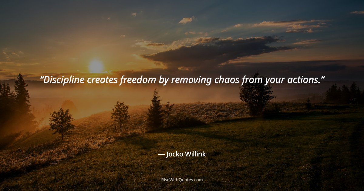 Discipline creates freedom by removing chaos from your actions.
