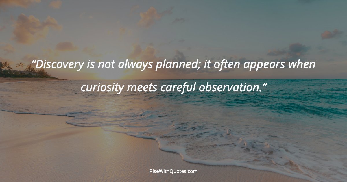 Discovery is not always planned; it often appears when curiosity meets careful observation.