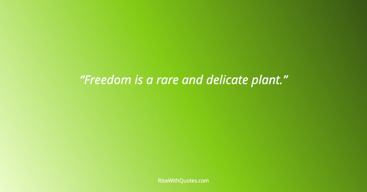 Freedom is a rare and delicate plant.