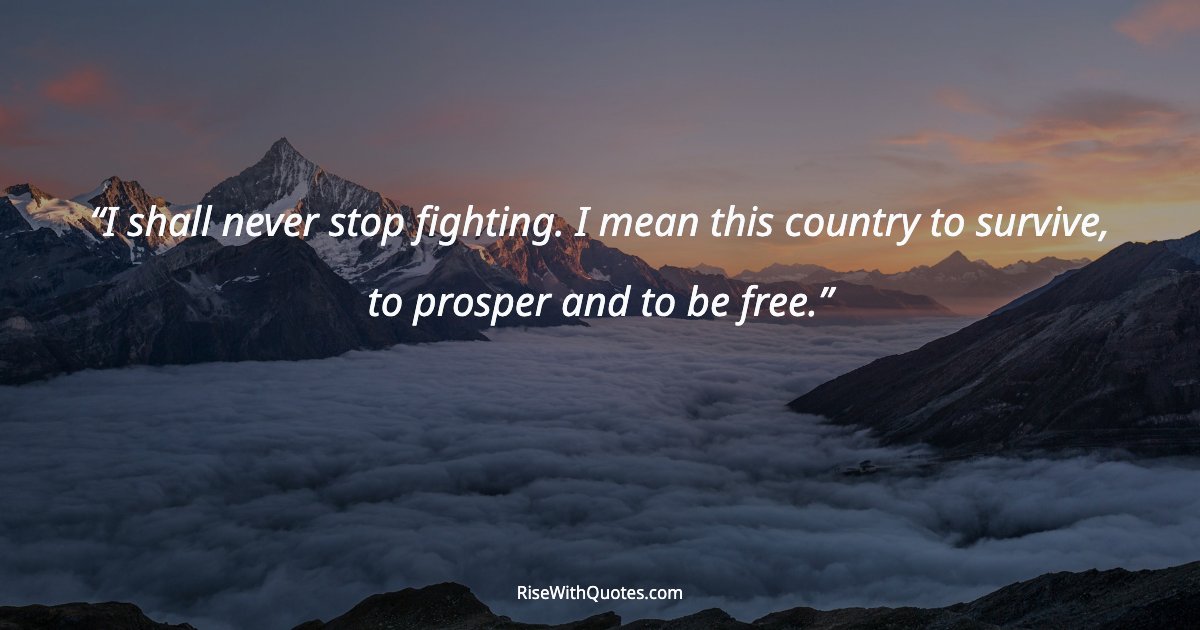 I shall never stop fighting. I mean this country to survive, to prosper and to be free.
