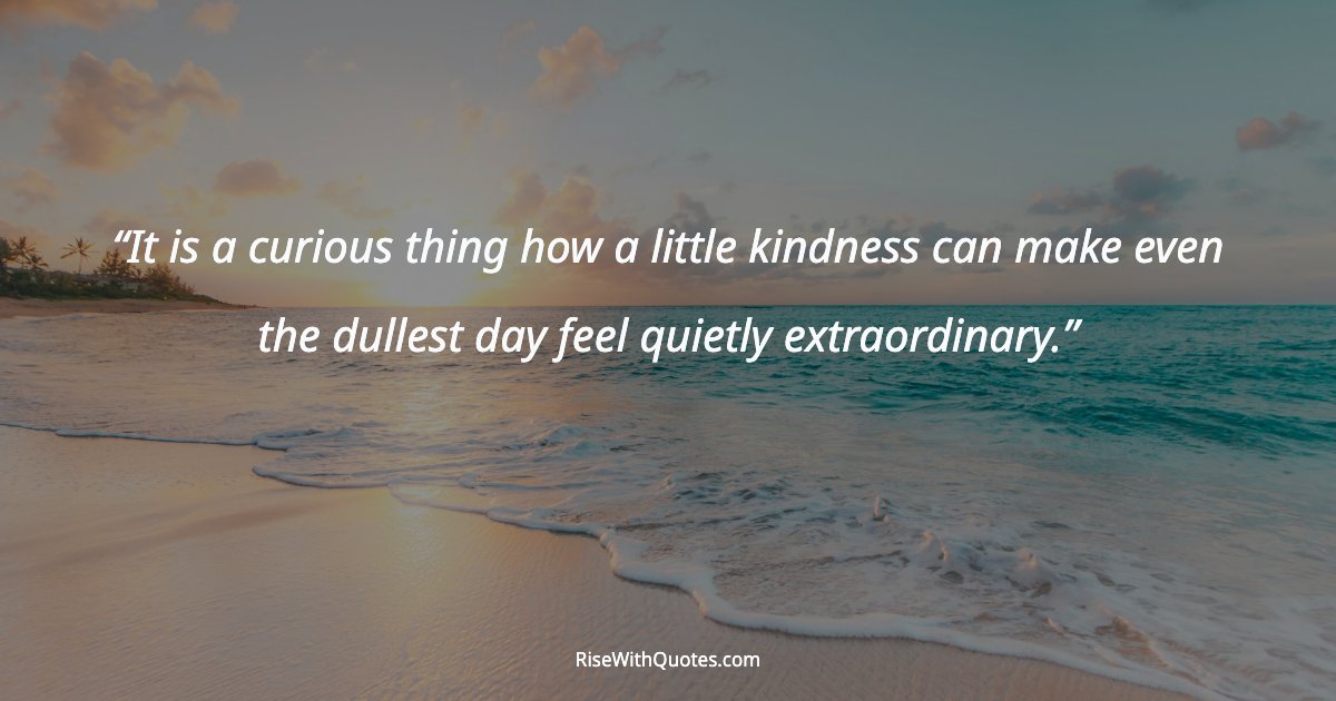 It is a curious thing how a little kindness can make even the dullest day feel quietly extraordinary.