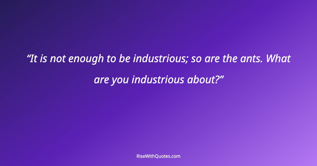 It is not enough to be industrious; so are the ants. What are you industrious about?