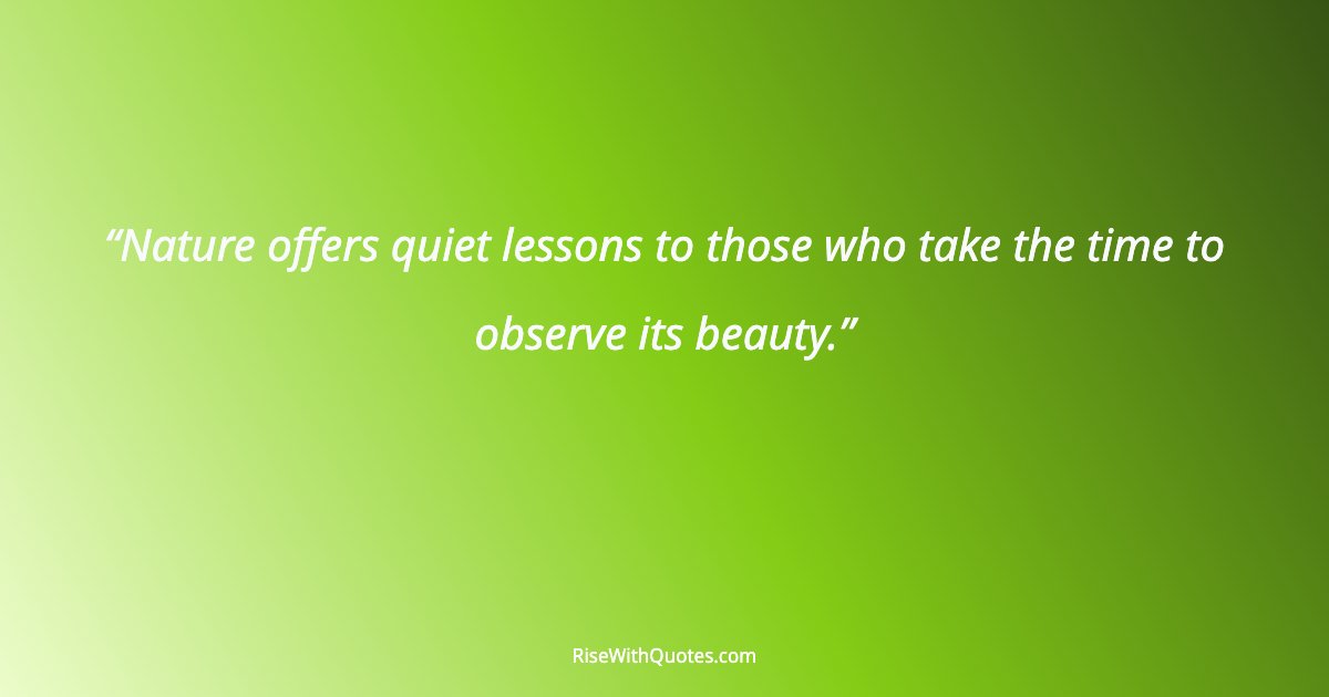 Nature offers quiet lessons to those who take the time to observe its beauty.