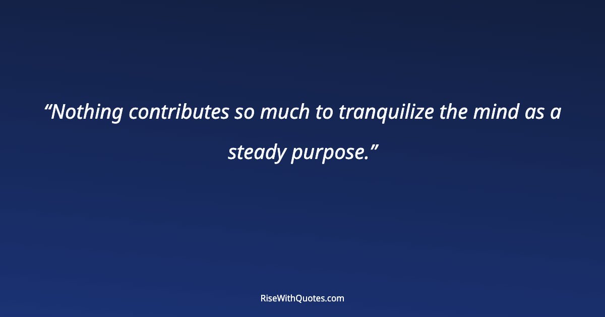 Nothing contributes so much to tranquilize the mind as a steady purpose.