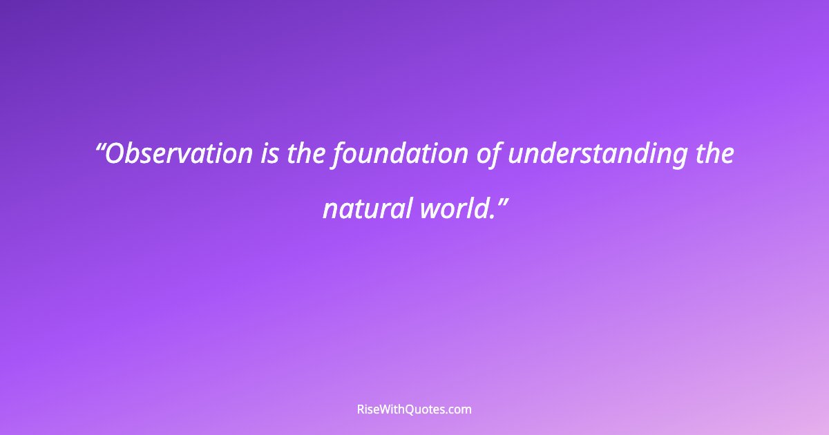 Observation is the foundation of understanding the natural world.