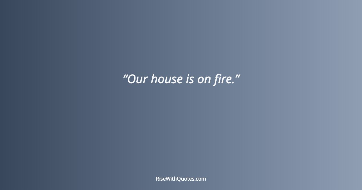 Our house is on fire.