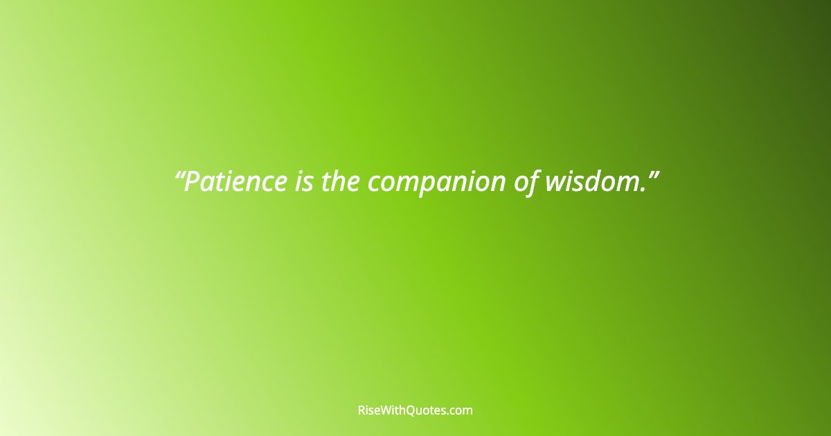 Patience is the companion of wisdom.