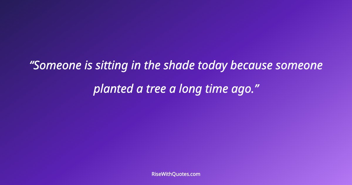 Someone is sitting in the shade today because someone planted a tree a long time ago.