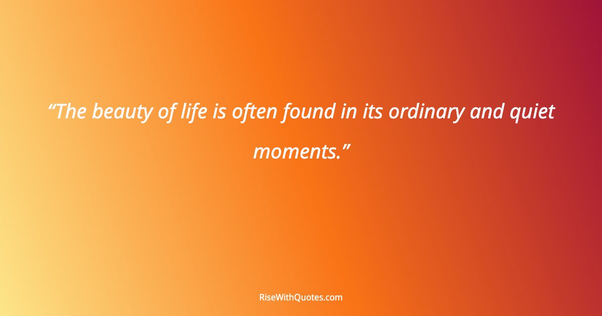 The beauty of life is often found in its ordinary and quiet moments.