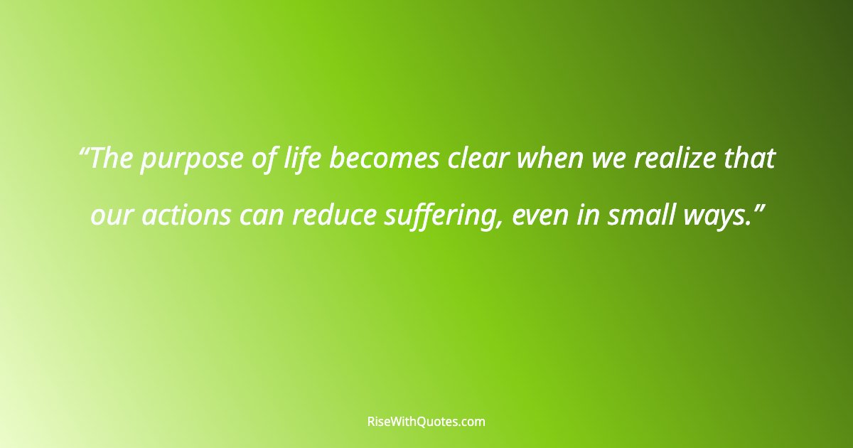 The purpose of life becomes clear when we realize that our actions can reduce suffering, even in small ways.