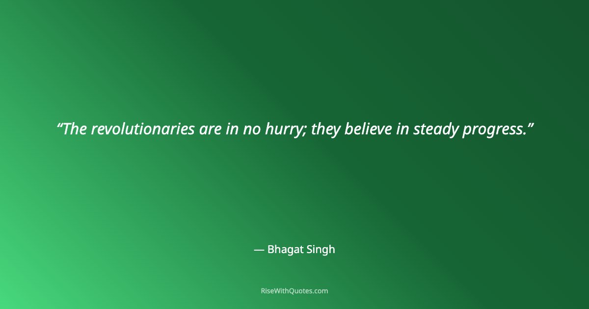 The revolutionaries are in no hurry; they believe in steady progress.