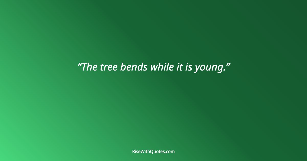 The tree bends while it is young.