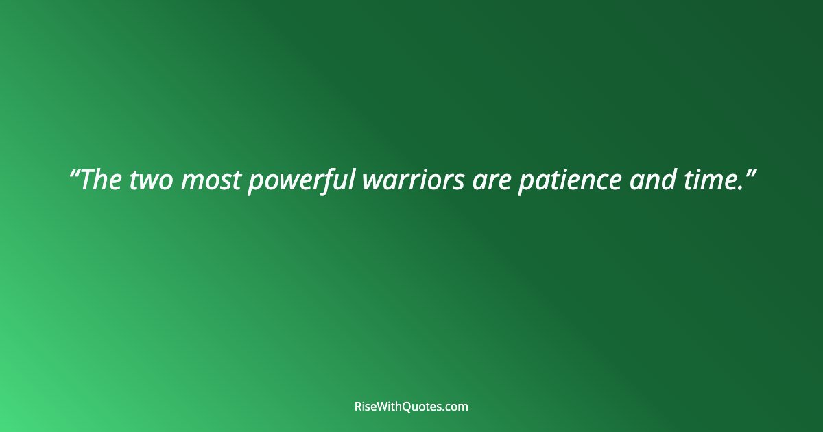 The two most powerful warriors are patience and time.