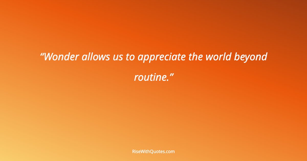 Wonder allows us to appreciate the world beyond routine.